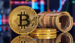 Bitcoin Neden Hızla Düşüyor?