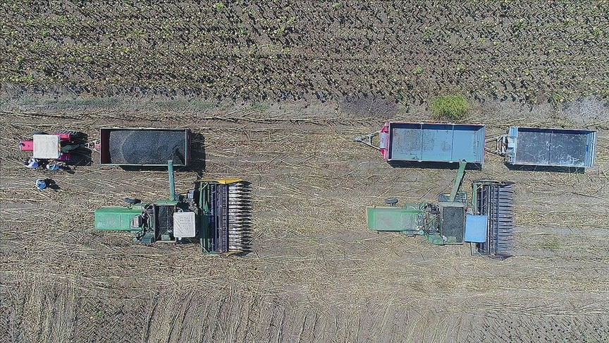 Tarımsal Girdi Fiyatları Ocak’ta Patlama Yaşadı: %45’in Üzerinde Yıllık Artış