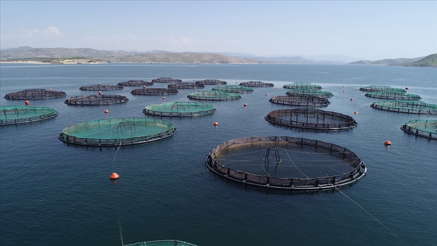 Elazığ, “Doğu’nun Akdeniz’i” Havyar ve Mersin Balığı Üretiminde Güç Merkezi Oluyor